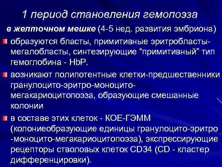   1 период становления гемопоэза в желточном мешке (4 -5 нед. развития эмбриона)
