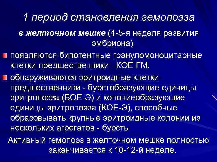   1 период становления гемопоэза  в желточном мешке (4 -5 -я неделя