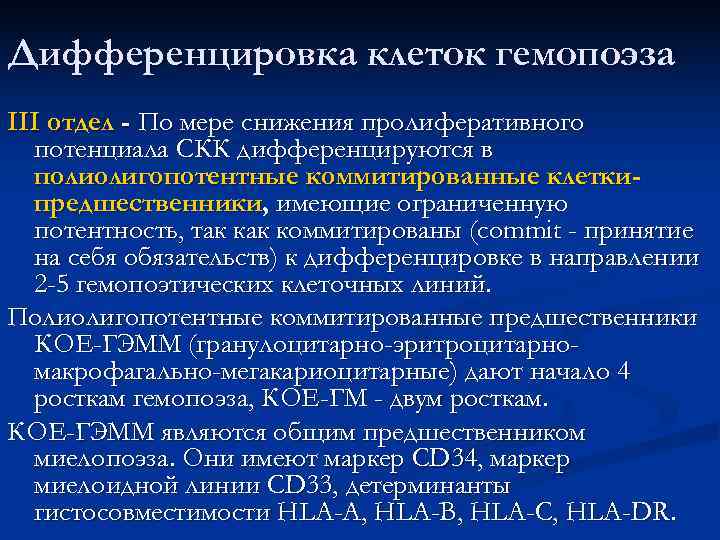 Дифференцировка клеток гемопоэза III отдел - По мере снижения пролиферативного  потенциала СКК дифференцируются