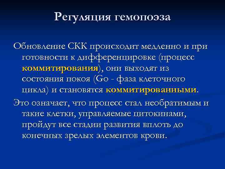    Регуляция гемопоэза Обновление СКК происходит медленно и при  готовности к