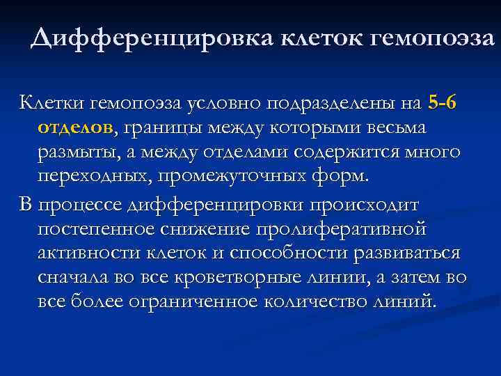  Дифференцировка клеток гемопоэза Клетки гемопоэза условно подразделены на 5 -6  отделов, границы