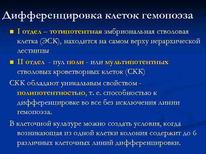 Дифференцировка клеток гемопоэза n I отдел – тотипотентная эмбриональная стволовая  клетка (ЭСК), находится