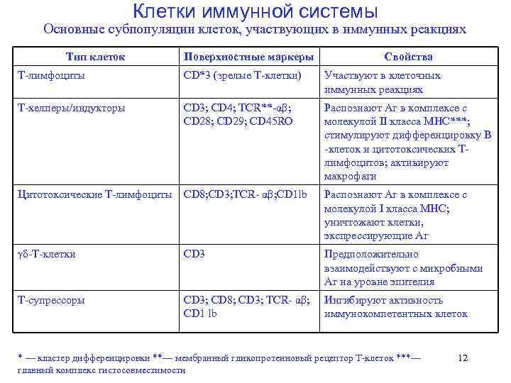     Клетки иммунной системы  Основные субпопуляции клеток, участвующих в иммунных