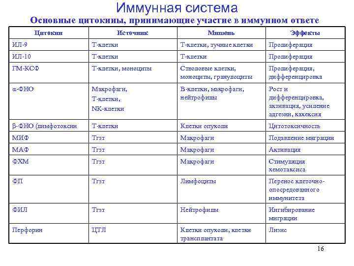      Иммунная система   Основные цитокины, принимающие участие в