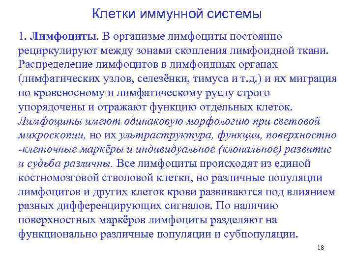    Клетки иммунной системы 1. Лимфоциты. В организме лимфоциты постоянно рециркулируют между