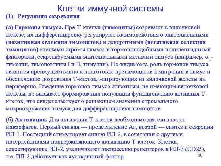    Клетки иммунной системы (1)  Регуляция созревания (а) Гормоны тимуса. Пре