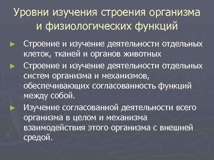 Уровни изучения строения организма и физиологических функций ► Строение и изучение деятельности отдельных 