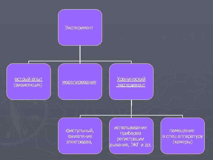     Эксперимент острый опыт     Хронический  