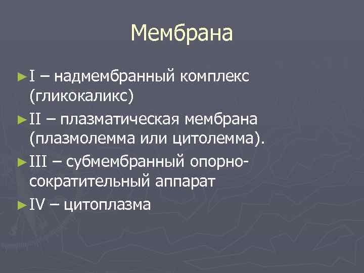    Мембрана ►I – надмембранный комплекс  (гликокаликс) ► II – плазматическая