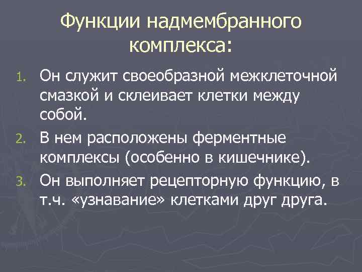  Функции надмембранного  комплекса: 1. Он служит своеобразной межклеточной  смазкой и склеивает