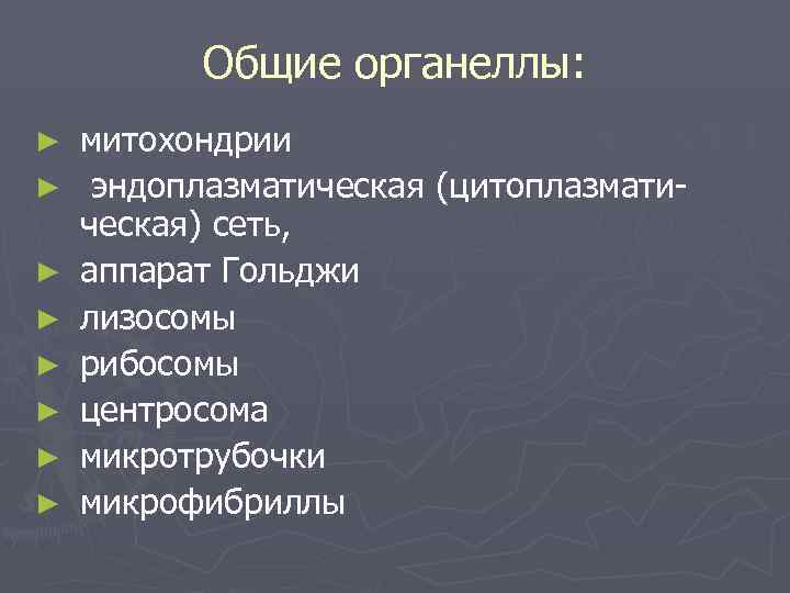    Общие органеллы: ►  митохондрии ►  эндоплазматическая (цитоплазмати- ческая) сеть,