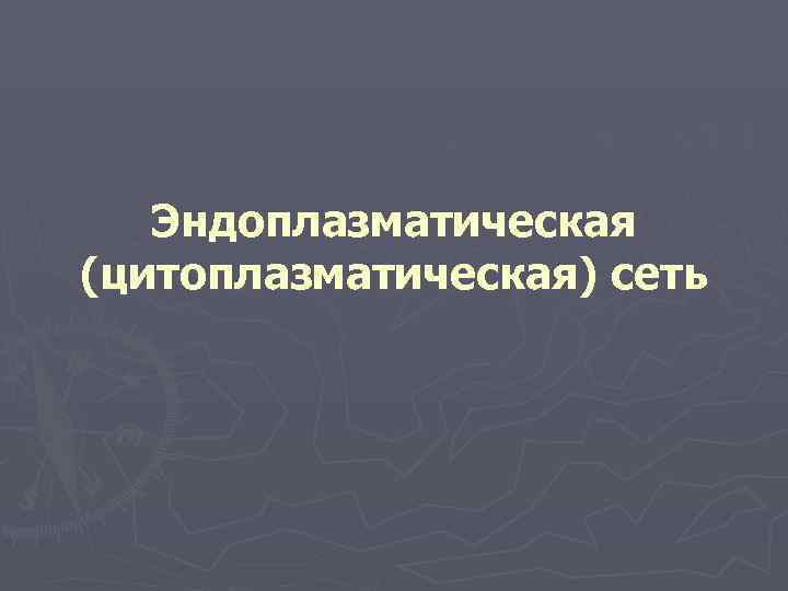   Эндоплазматическая (цитоплазматическая) сеть 