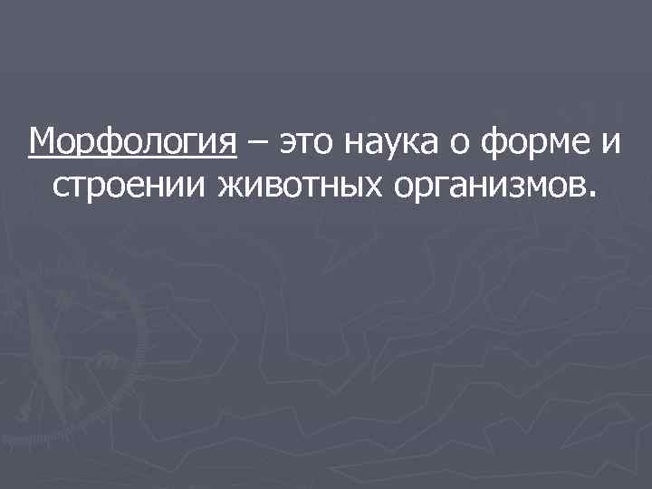 Морфология – это наука о форме и строении животных организмов. 