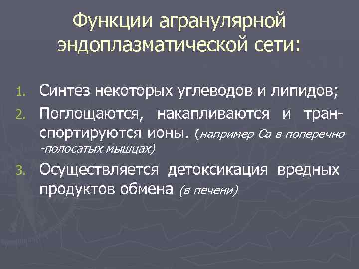    Функции агранулярной  эндоплазматической сети:  1. Синтез некоторых углеводов и