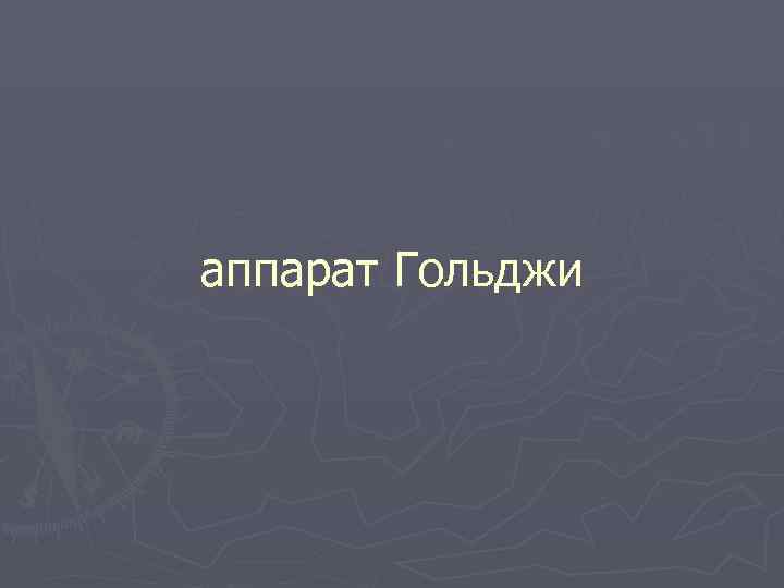 аппарат Гольджи 