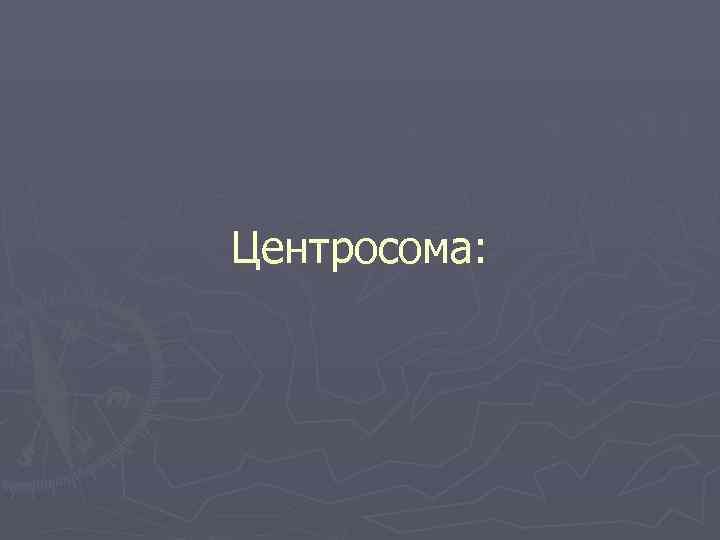 Центросома: 