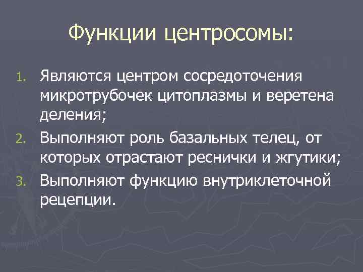  Функции центросомы: 1. Являются центром сосредоточения  микротрубочек цитоплазмы и веретена  деления;