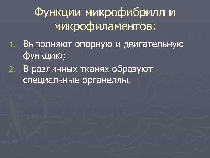 Функции микрофибрилл и   микрофиламентов: 1. Выполняют опорную и двигательную  функцию;