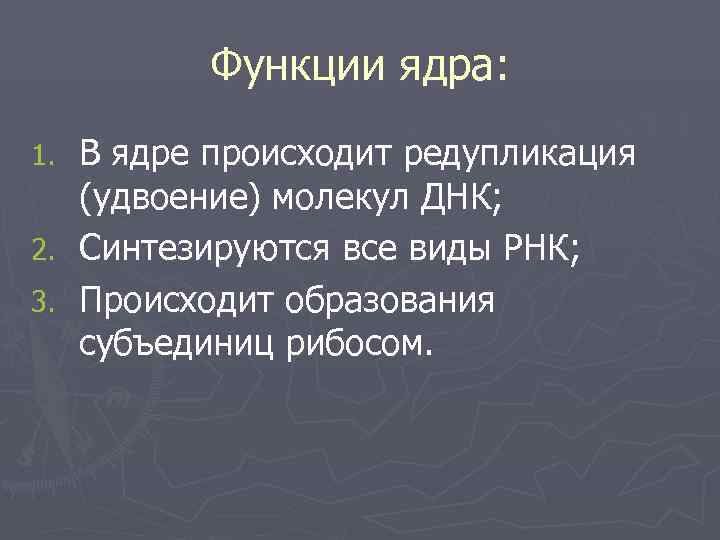    Функции ядра: 1. В ядре происходит редупликация  (удвоение) молекул ДНК;