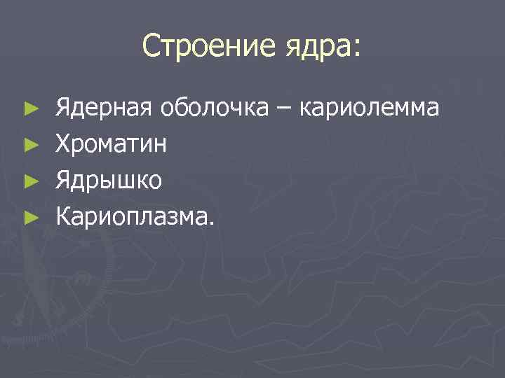   Строение ядра: ► Ядерная оболочка – кариолемма ► Хроматин ► Ядрышко ►