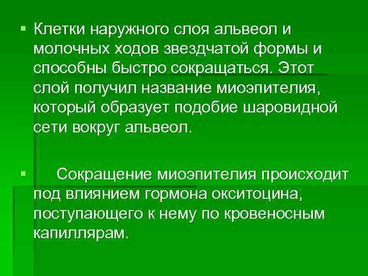 § Клетки наружного слоя альвеол и  молочных ходов звездчатой формы и  способны