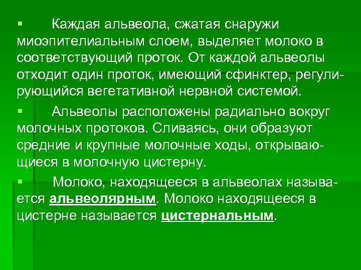 §  Каждая альвеола, сжатая снаружи миоэпителиальным слоем, выделяет молоко в соответствующий проток. От