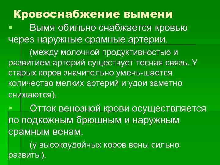  Кровоснабжение вымени §  Вымя обильно снабжается кровью через наружные срамные артерии. 