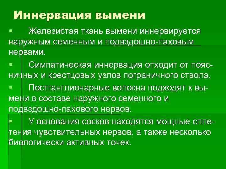  Иннервация вымени §  Железистая ткань вымени иннервируется наружным семенным и подвздошно-паховым нервами.
