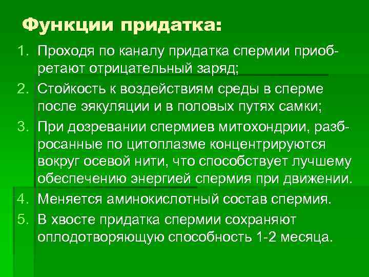 Функции придатка: 1. Проходя по каналу придатка спермии приоб-  ретают отрицательный заряд; 2.
