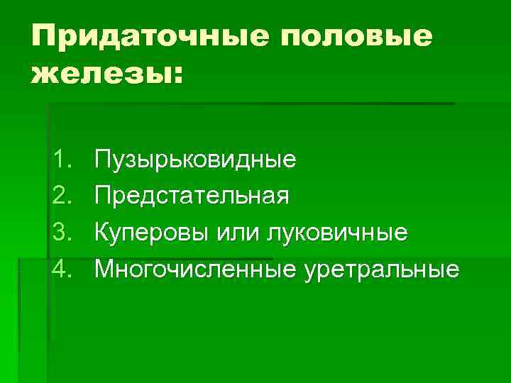 Придаточные половые железы:  1.  Пузырьковидные 2.  Предстательная 3.  Куперовы или