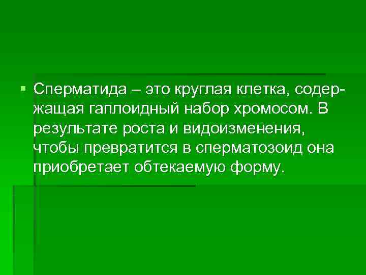 § Сперматида – это круглая клетка, содер-  жащая гаплоидный набор хромосом. В 