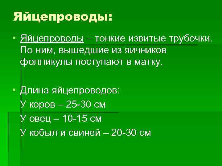 Яйцепроводы: § Яйцепроводы – тонкие извитые трубочки. По ним, вышедшие из яичников  фолликулы