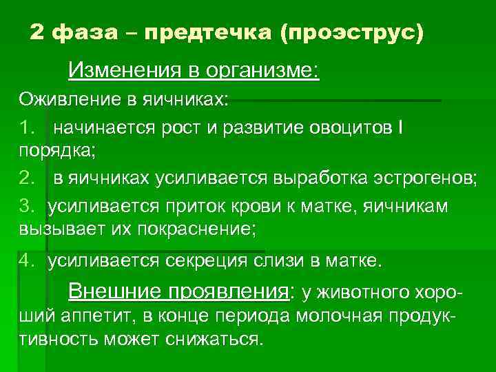  2 фаза – предтечка (проэструс) Изменения в организме:  Оживление в яичниках: 1.