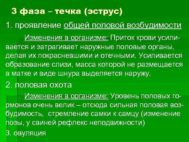  3 фаза – течка (эструс) 1. проявление общей половой возбудимости Изменения в организме: