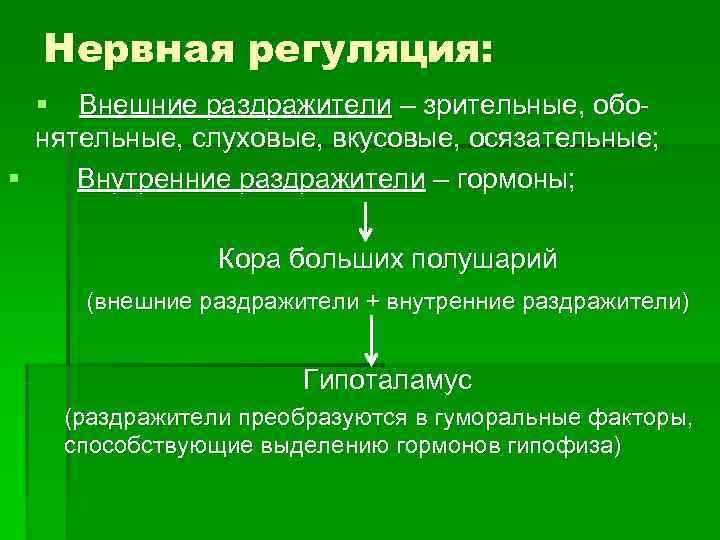  Нервная регуляция:  § Внешние раздражители – зрительные, обо-  нятельные, слуховые, вкусовые,