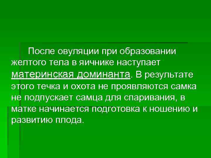   После овуляции при образовании желтого тела в яичнике наступает материнская доминанта. В