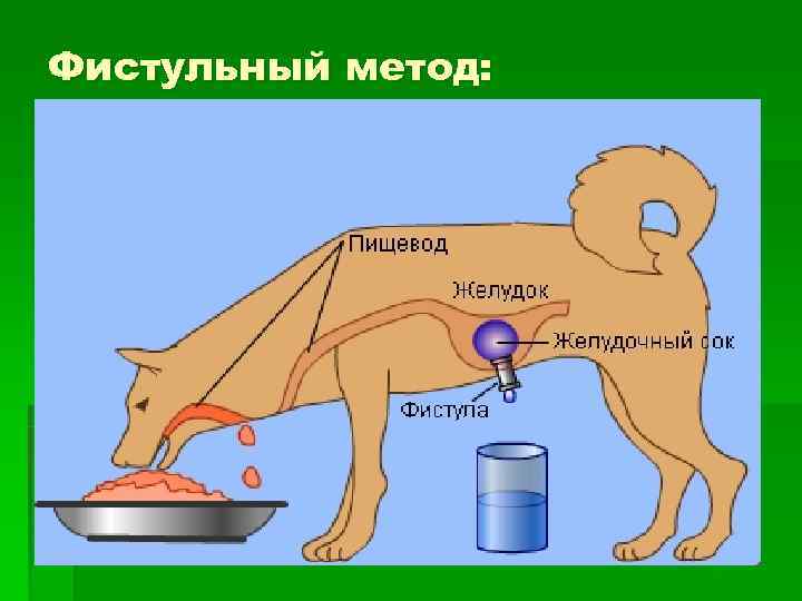 Фистульный метод: Фистульный метод:
