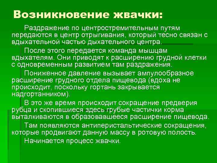 Возникновение жвачки: Раздражение по центростремительным путям передаются в центр отрыгивания, который тесно связан с Возникновение жвачки: Раздражение по центростремительным путям передаются в центр отрыгивания, который тесно связан с