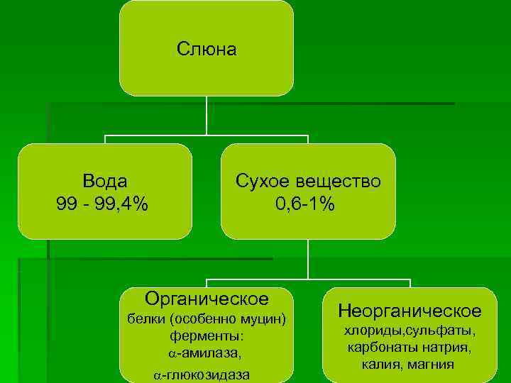 Слюна Вода Сухое вещество 99 - 99, Слюна Вода Сухое вещество 99 - 99,