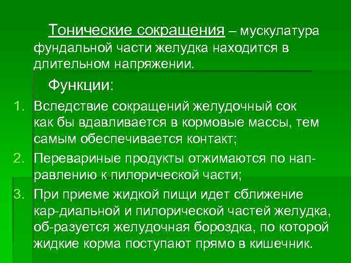 Тонические сокращения – мускулатура фундальной части желудка находится в длительном напряжении. Тонические сокращения – мускулатура фундальной части желудка находится в длительном напряжении.