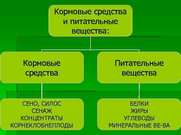 Кормовые средства и питательные вещества: Кормовые Кормовые средства и питательные вещества: Кормовые