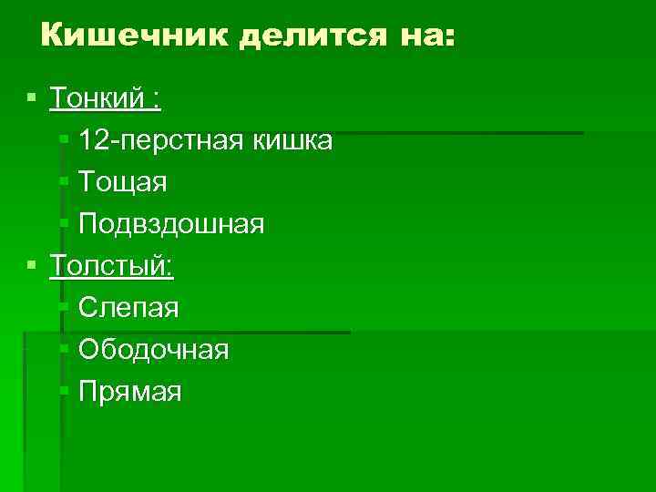 Кишечник делится на: § Тонкий : § 12 -перстная кишка § Кишечник делится на: § Тонкий : § 12 -перстная кишка §