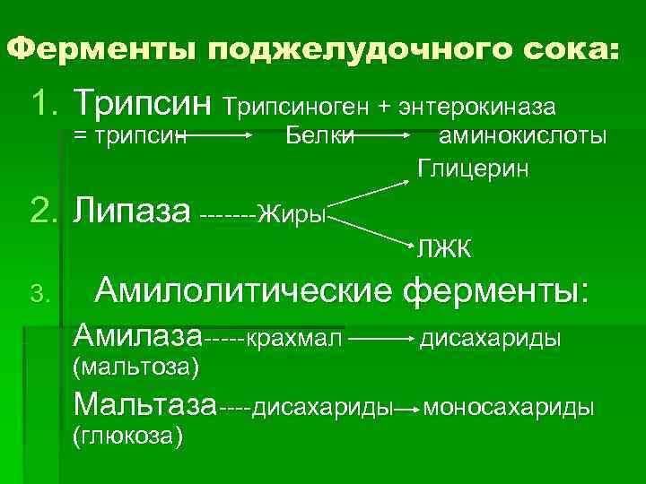 Ферменты поджелудочного сока: 1. Трипсиноген + энтерокиназа = трипсин Белки аминокислоты Ферменты поджелудочного сока: 1. Трипсиноген + энтерокиназа = трипсин Белки аминокислоты
