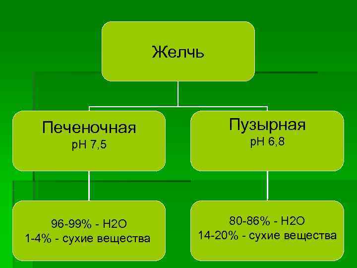 Желчь Печеночная Пузырная р. Н Желчь Печеночная Пузырная р. Н