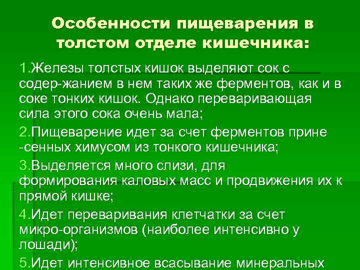 Особенности пищеварения в толстом отделе кишечника: 1. Железы толстых кишок выделяют сок Особенности пищеварения в толстом отделе кишечника: 1. Железы толстых кишок выделяют сок