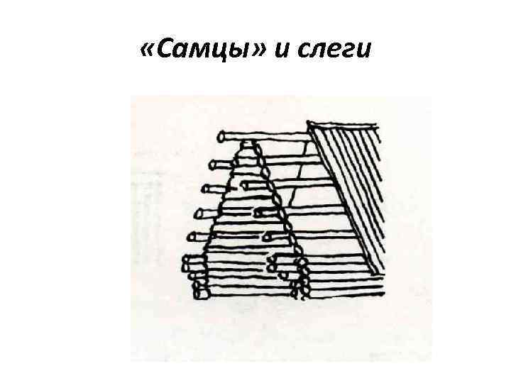  «Самцы» и слеги 