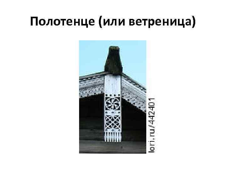 Полотенце (или ветреница) 