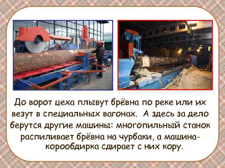 До ворот цеха плывут брёвна по реке или их везут в специальных вагонах. До ворот цеха плывут брёвна по реке или их везут в специальных вагонах.