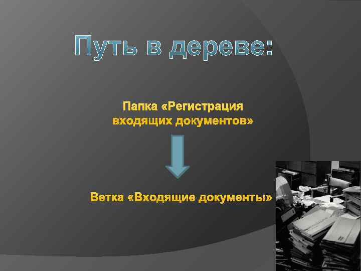   Папка «Регистрация  входящих документов» Ветка «Входящие документы» 