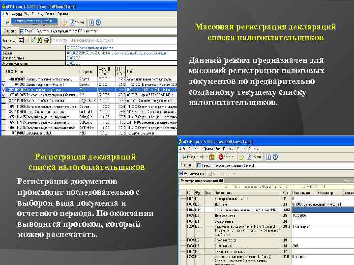       Массовая регистрация деклараций     